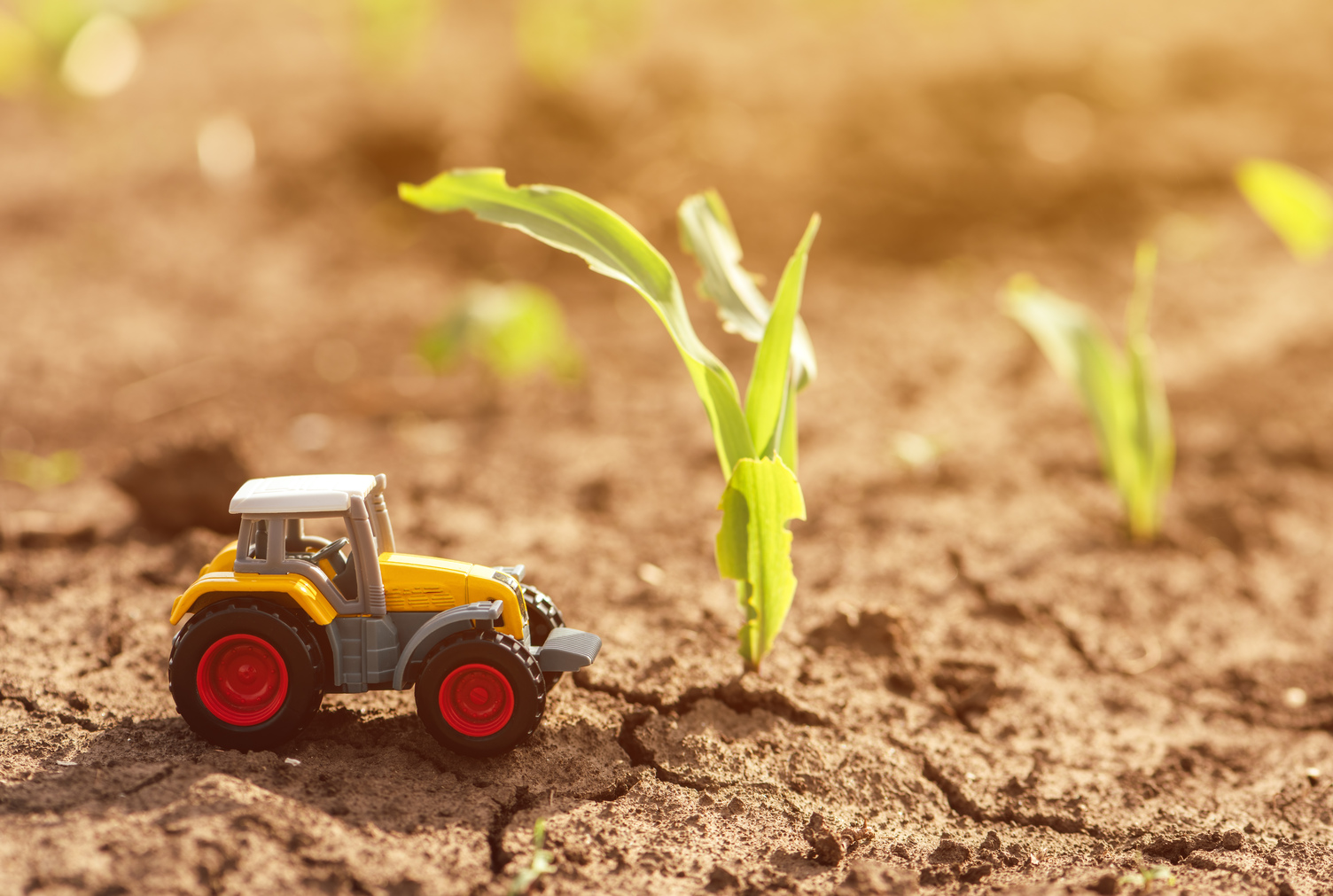 Agricultura y Cambio Climático: Estrategias Tecnológicas para la Adaptación